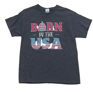 Delta Pro Weight Tee Barn in the USA Gray M